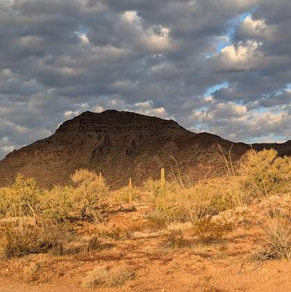 JARVIS_Kofa2024_2.jpg