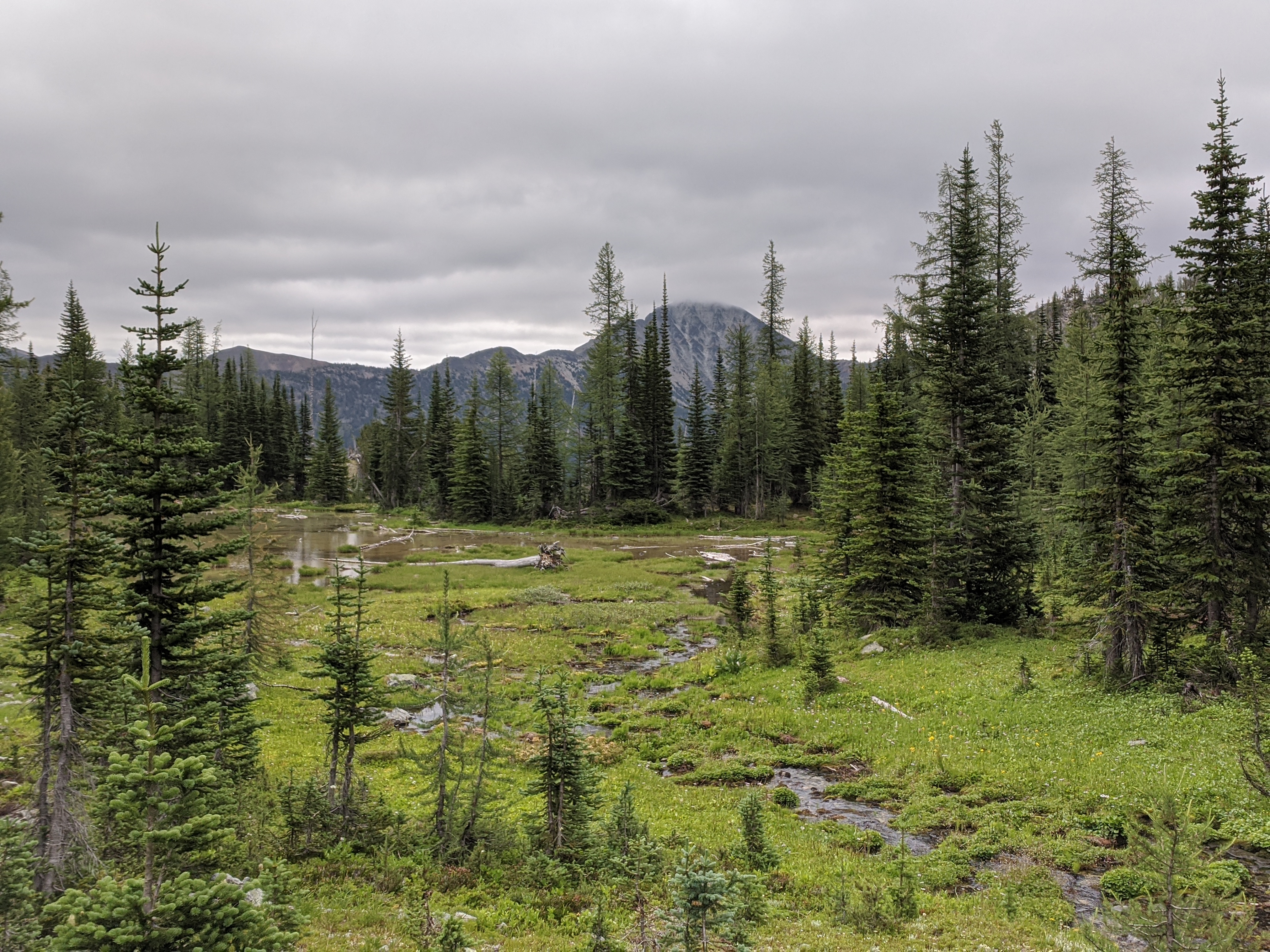 National Wilderness Workshop