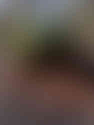 Eden Survival Skills Day