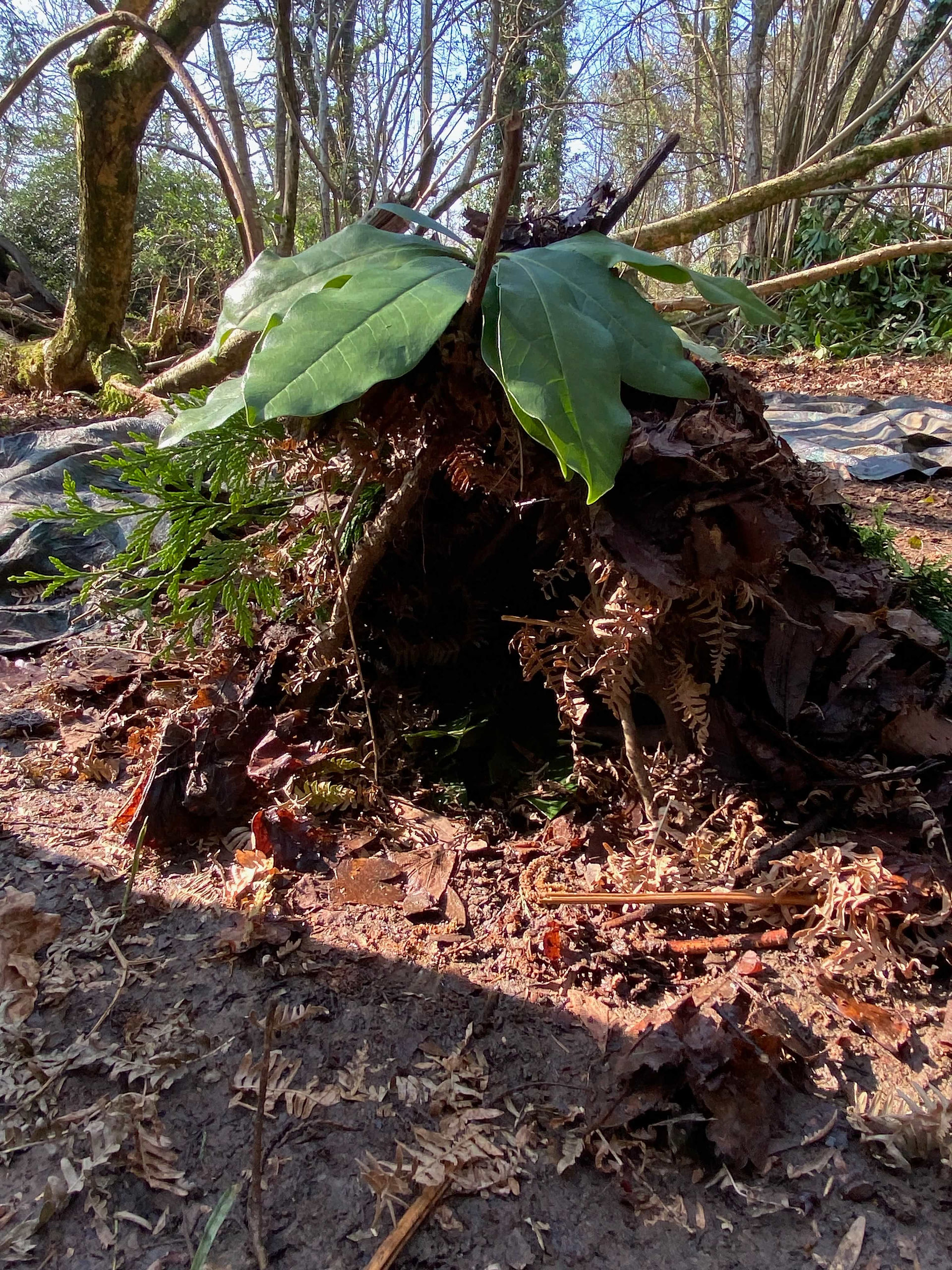 Eden Survival Skills Day