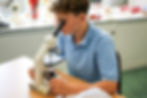 Pupil looking into a microscope in Biology
