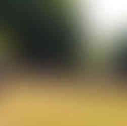 Warm up before sports day