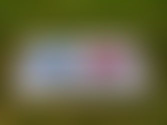 Celebrating 60 Years: St Edward's School Lays Commemorative Mosaic