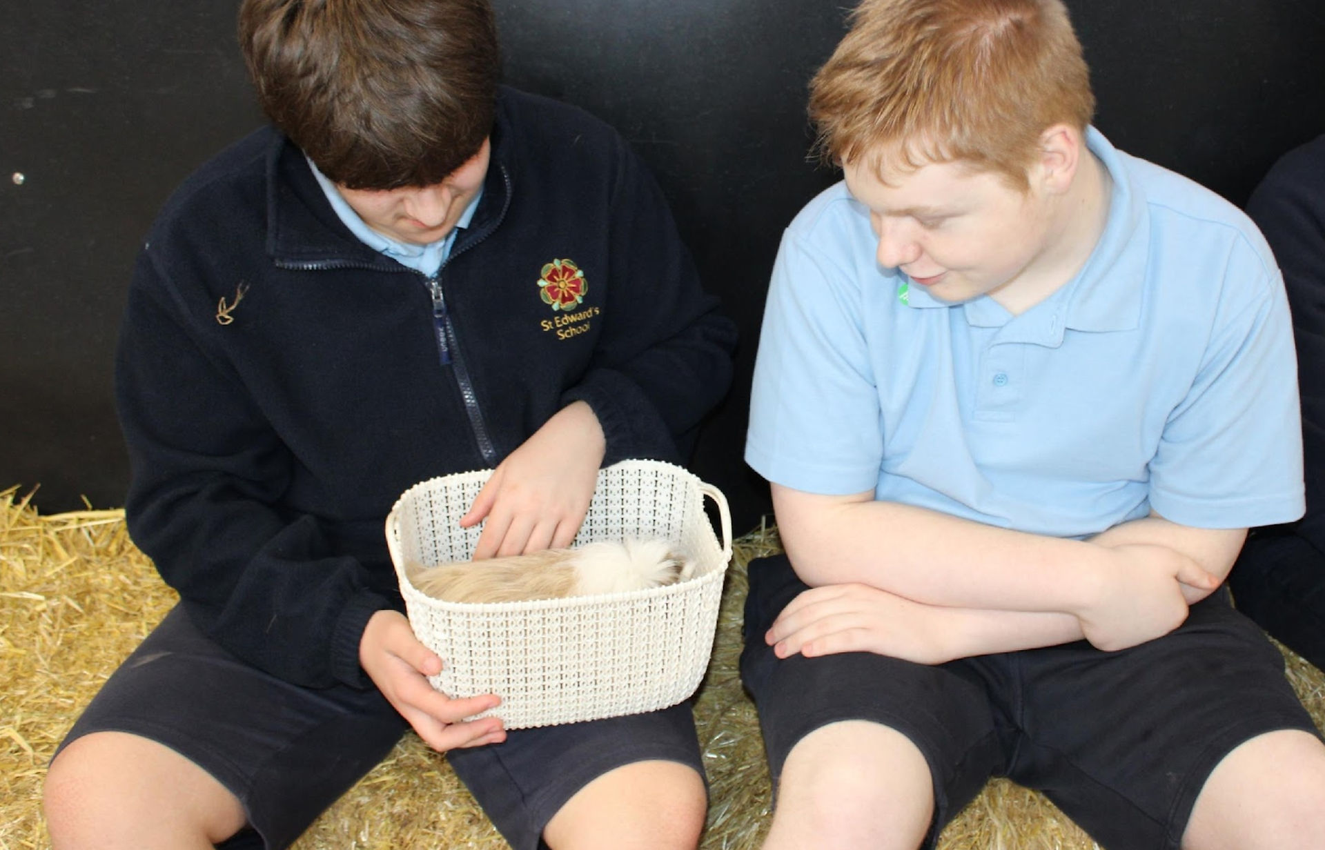 Longdown Activity Farm Visit