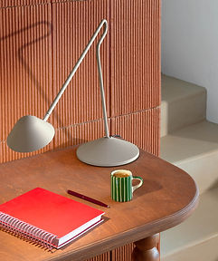 PIXI_GRIS_ARGILE_CANNES_VISUEL26_NICOLAS_MATHEUS_2 (1).jpg