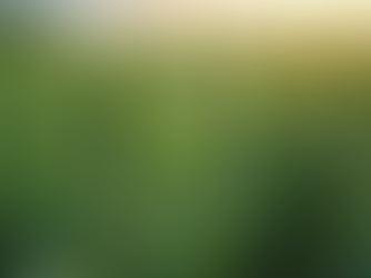 Sustainable Hemp Products for Eco-Friendly Australians