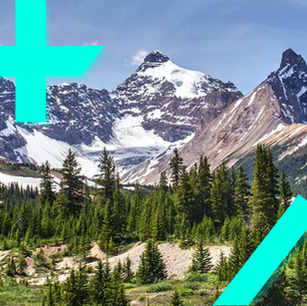 The Impact of Video Games on Eco-Tourism