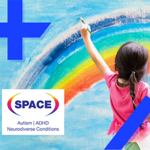STEALTH Collaborates With SPACE Charity