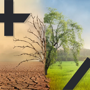 Video Games and Environmental Education