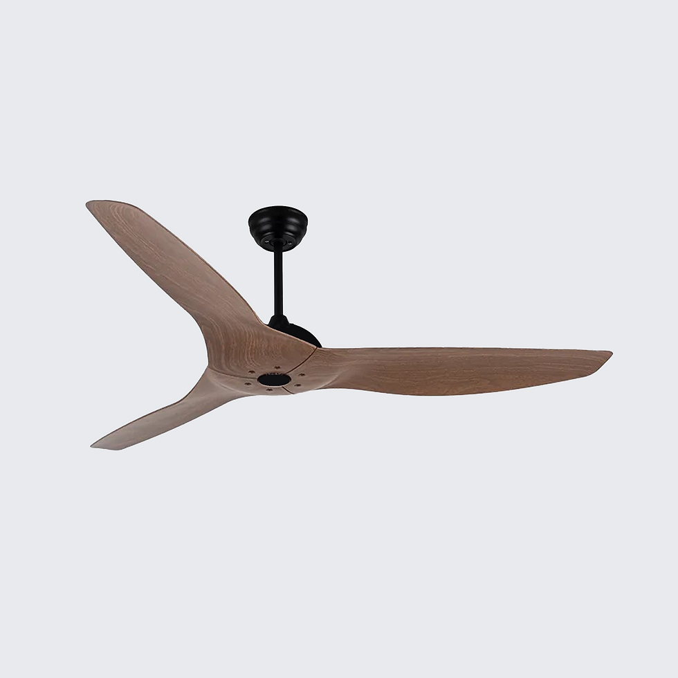 Miniatura: Ventilador de techo Evolve series sin luz