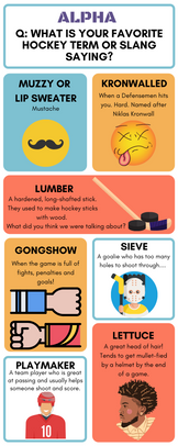 Hockey Infographic