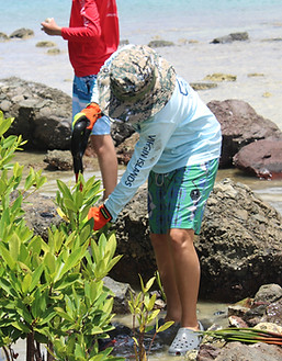 IMG_0577_edited.jpg