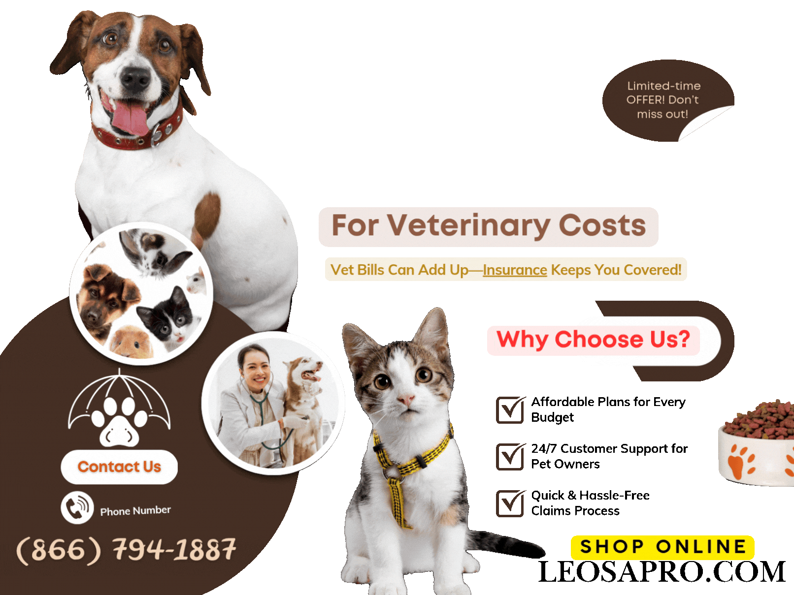 White Brown And Black Modern Pet Insurance For Veterinary Costs Poster.gif