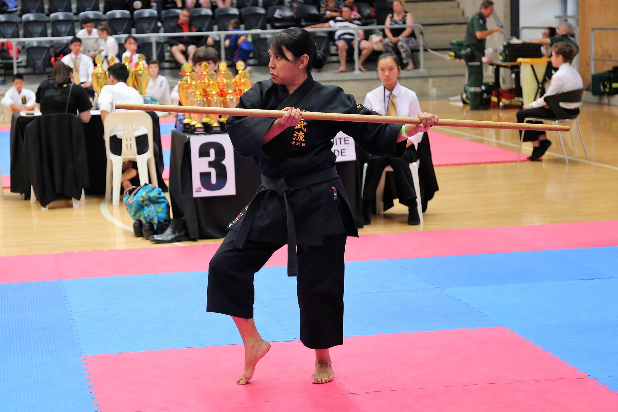 Peter_Mylonas_WMAC_AMAC_Kempo_Ryu_Karate_Martial-Arts_KungFu_TKD_Kung_Fu_KempoRyu_Australian_Titles_