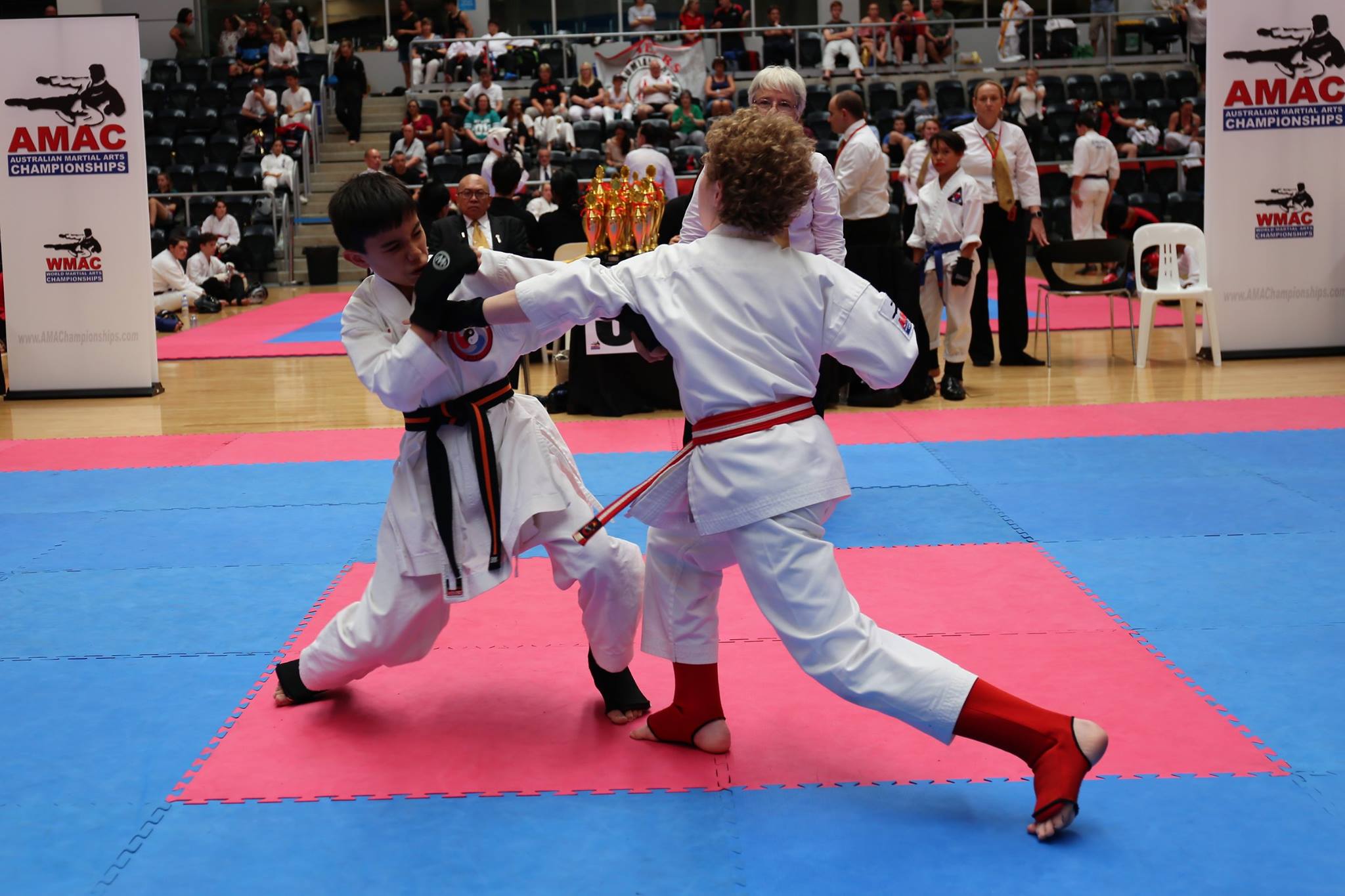 Peter_Mylonas_WMAC_AMAC_Kempo_Ryu_Karate_Martial-Arts_KungFu_TKD_Kung_Fu_KempoRyu_Australian_Titles_