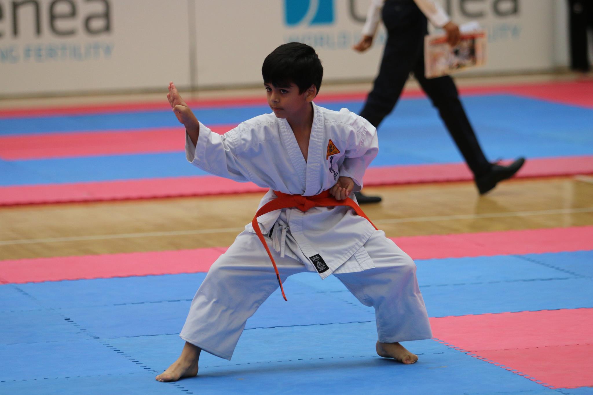 Peter_Mylonas_WMAC_AMAC_Kempo_Ryu_Karate_Martial-Arts_KungFu_TKD_Kung_Fu_KempoRyu_Australian_Titles_