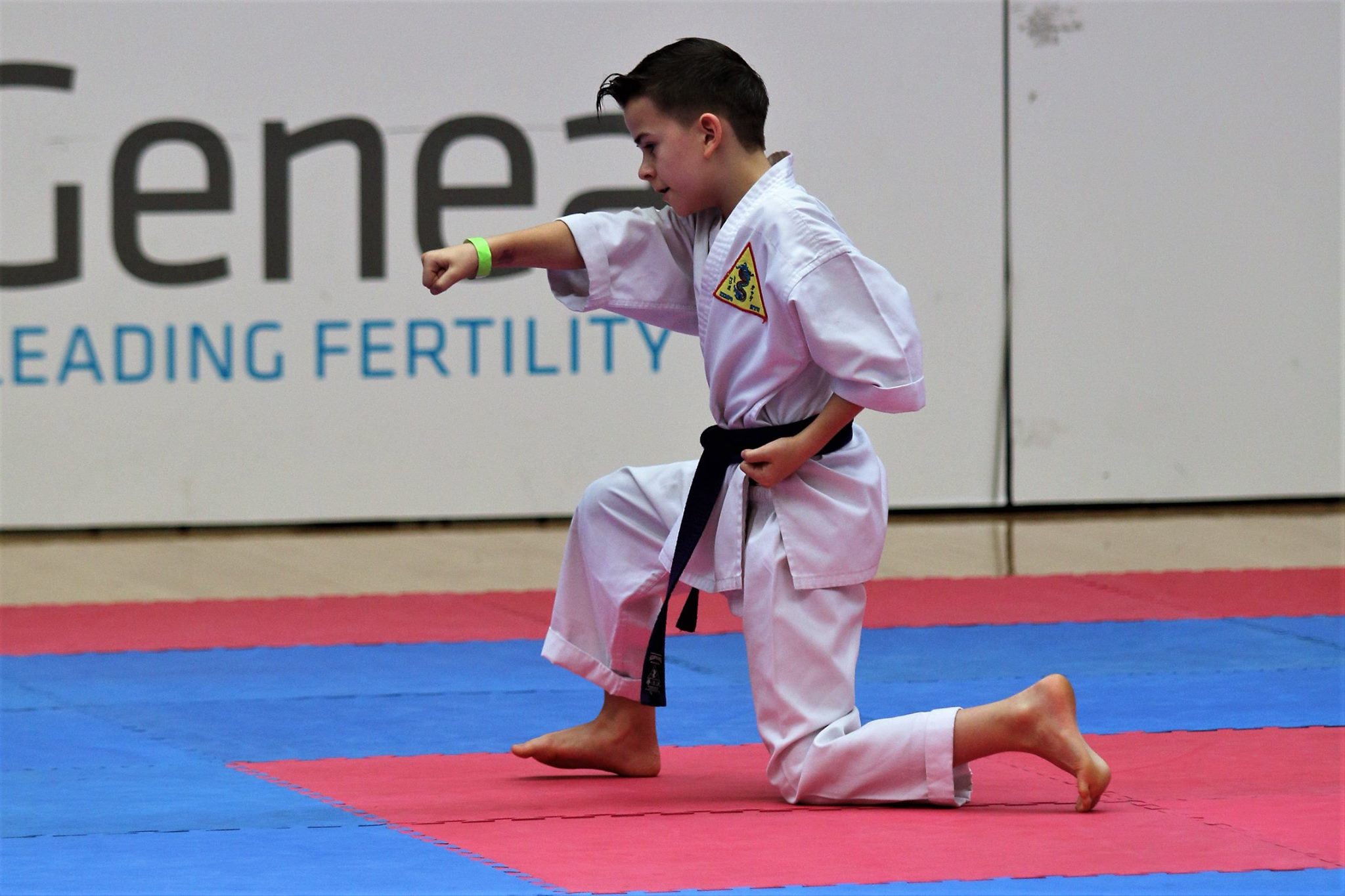 Peter_Mylonas_WMAC_AMAC_Kempo_Ryu_Karate_Martial-Arts_KungFu_TKD_Kung_Fu_KempoRyu_Australian_Titles_