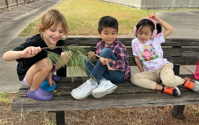 Students on an outdoor bench looking at a pine branch