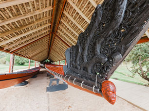 Pou Tangata condemns the disestablishment of Te Aka Whai Ora – what is the alternative?
