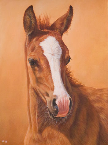 Chestnut foal original acrylic painting