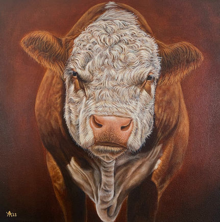 Hereford bull acrylic painting