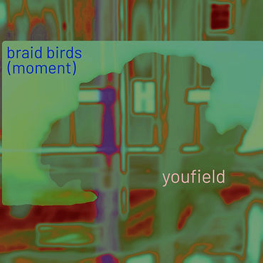 Braid Birds (moment).jpg