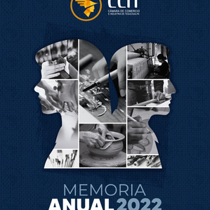 Memoria Institucional 2022