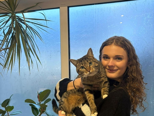 Herzlich willkommen bei der STM 👋