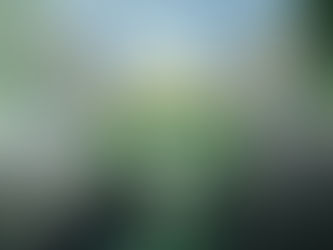 Ein Jahr KI bei STM – Intelligente Lösungen für den Straßenbau 💚🛣🎂