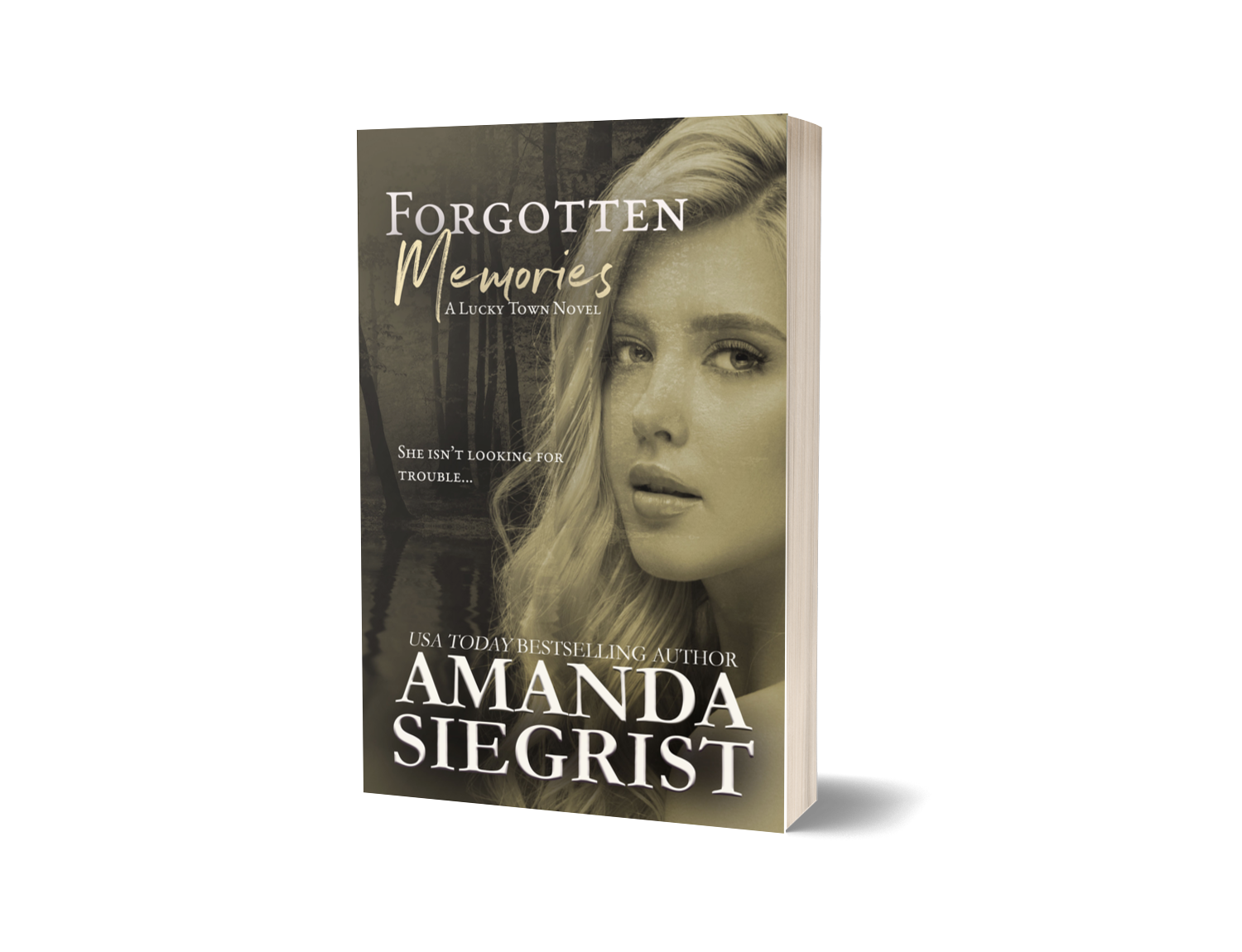 Forgotten Memories, Lucky Town Novel #5