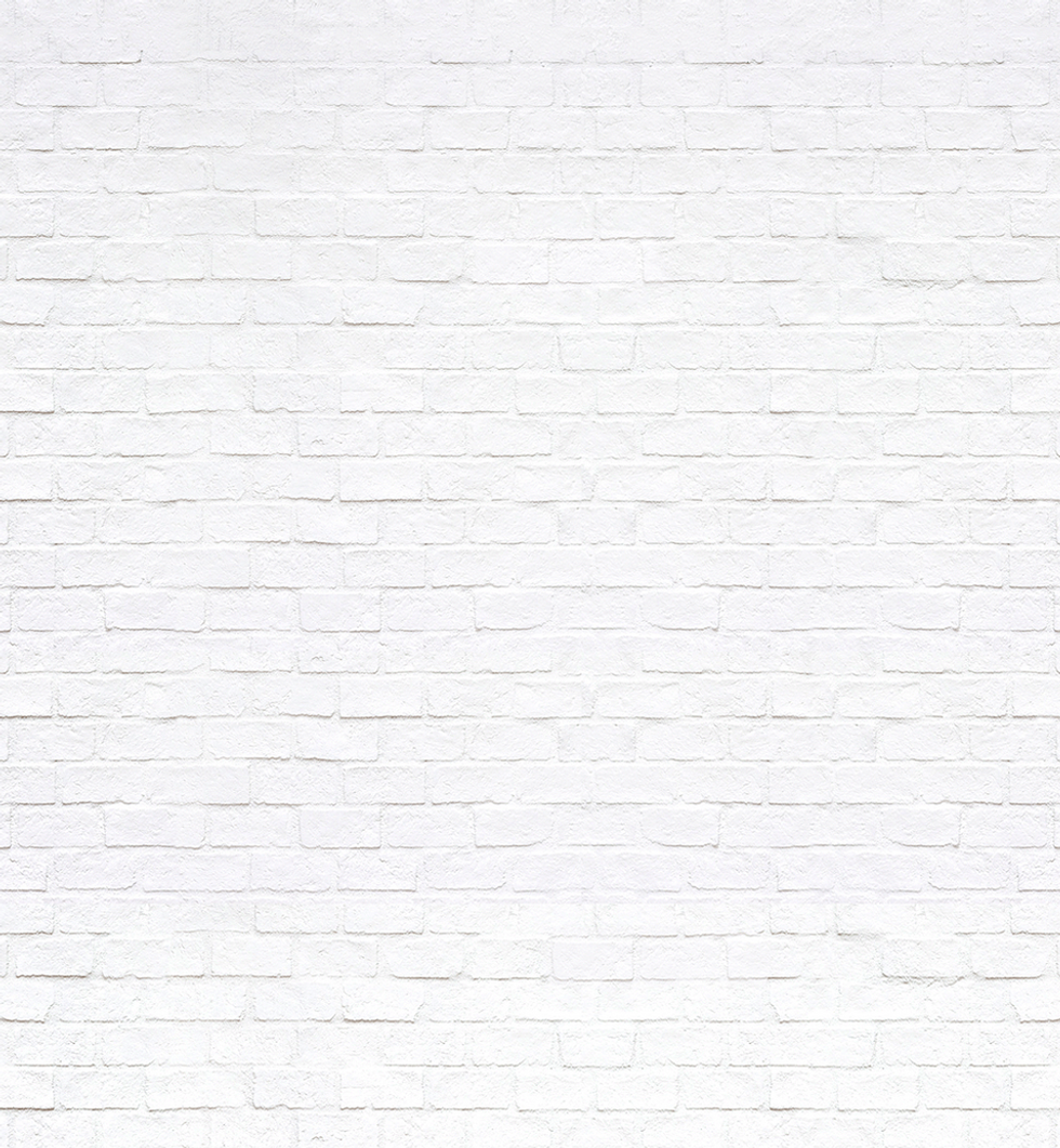 White Brick Wall_0.5x.png