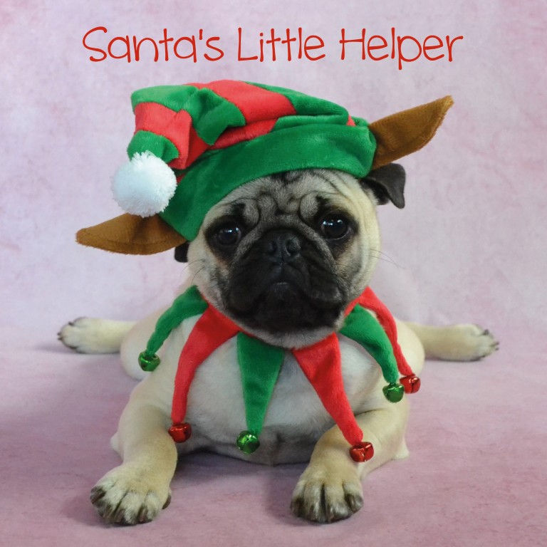 22083 - Santa's Little Helper