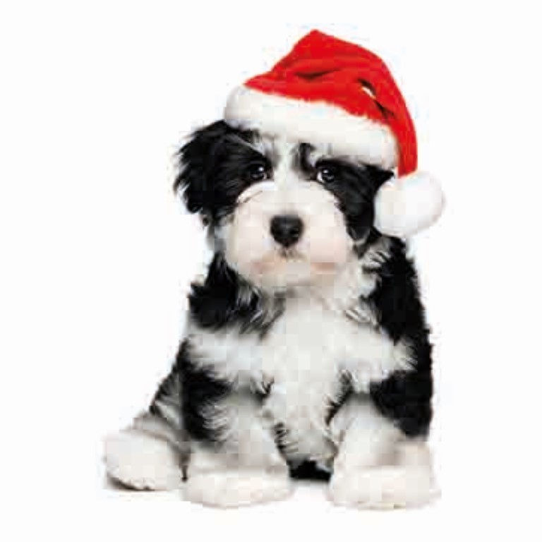 14031 Puppy Santa