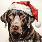24149 Santa Paws 123x123 P1 Proof (Medium).jpg