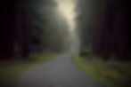 Gravel Road into the Forest_edited_edited_edited.jpg