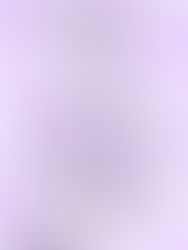 女居士林成立九十五週年慶典法會