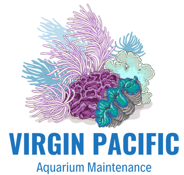Virgin Pacific Logo