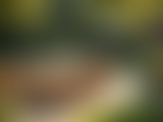 Beylikdüzü'nde Dayanıklı Bahçe Sandalyeleri ve Masaları