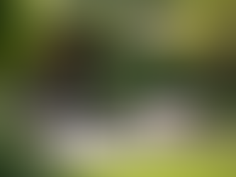 E-Ticaret İle Bahçe Mobilyası Satın Almanın Avantajları