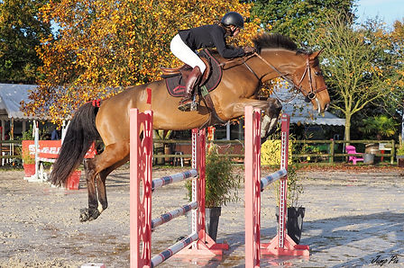 122958156_1484453051740471_2833463322966