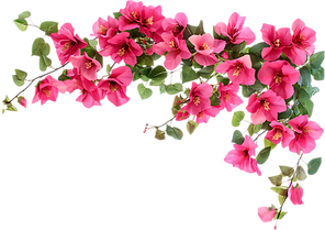 Add a heading-9_edited.png