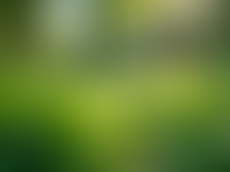 The Importance of Sustainable Living in Today's World