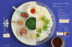 P026-041_summer0419-4