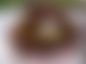 Mini Beef Chimichangas