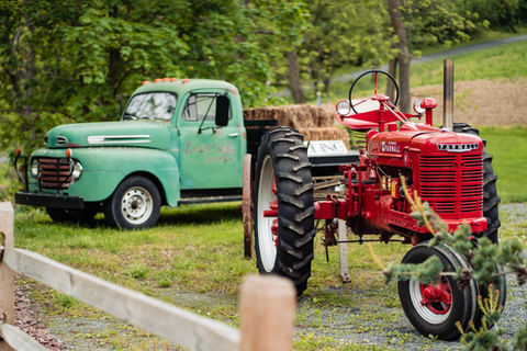 green vintage truck with wedding sign and red vintage tractor