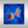 Pinturas Abstractas Oceánicas a la Venta en Miami, Florida por Laelanie Larach en Laelanie Art Gallery