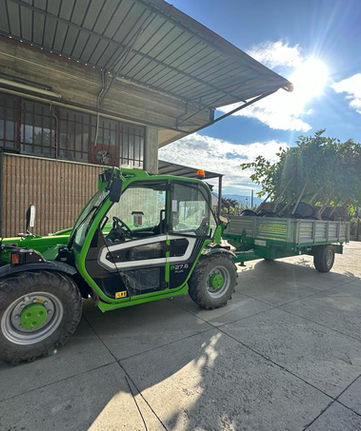 Immagine WhatsApp 2023-06-15 ore 19.50.06.jpg