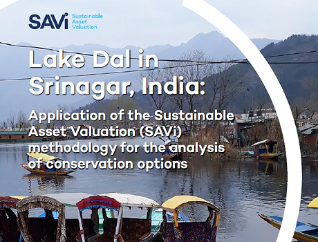 Savi Dal Lake cover.png