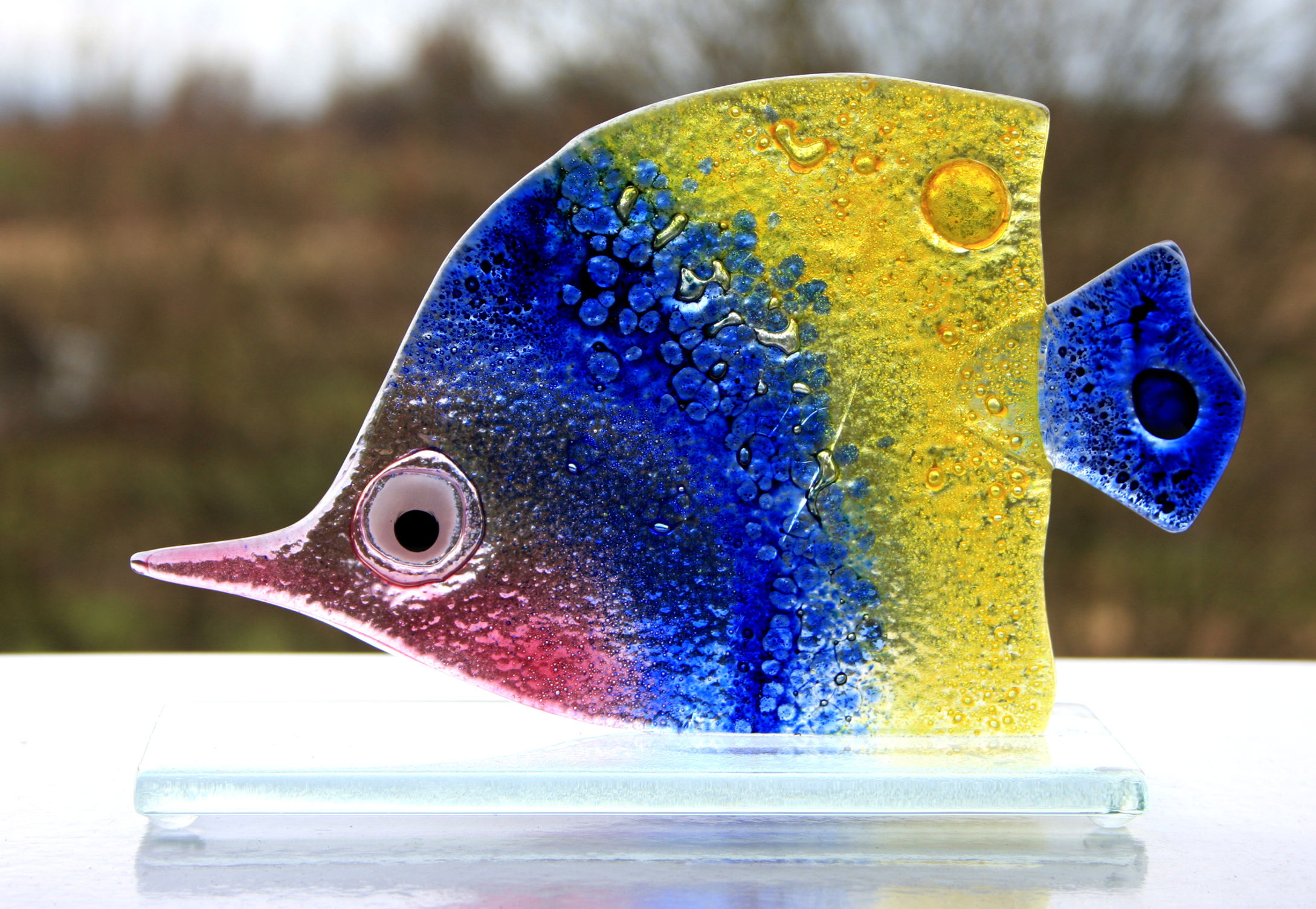 Longnose Fish