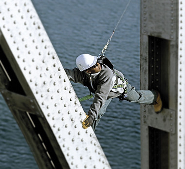 MILLER Fall Application 1_large.jpg